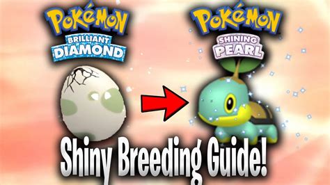 how to masuda method bdsp.